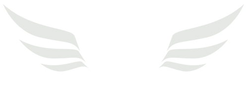 Revive Link